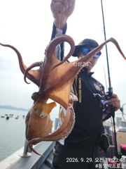 통영박프로호 돌문어 조황