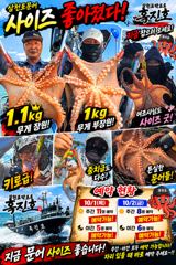 삼천포문어 사이즈 좋아졌습니다! 1.1kg 등장·전원히트｜삼천포박프로 흑진호
