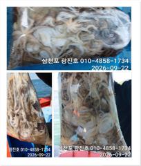 광진호,왕쭈꾸 출조 {평일,할인}5,6,7,자리여유 예약중