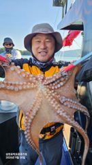 삼천포문어 사이즈 좋아졌습니다! 1.1kg 등장·전원히트｜삼천포박프로 흑진호