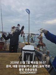 통영 금정호 오전문어 시작부터 신나게 올라옵니다 내일과 주말 자리여유있습니다