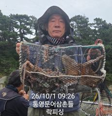 (문어)실시간 벌써 두 자릿수~중량급들 피딩 락피싱(2일 예약)