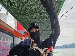 ^1일(목) 실시간 왕쭈 조황 좋습니다 "내일 출조확정" 쭈욱 …