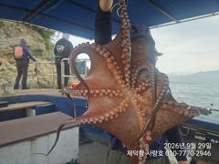 "갯바위"돌문어 1100g1000g외 개인12수12수11수10수등 전원 마릿수 조황~