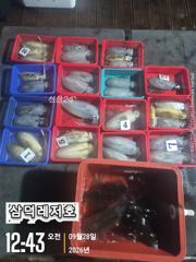 [팁런],원도권,무시급들( 금요일,소수인원.출항확정)