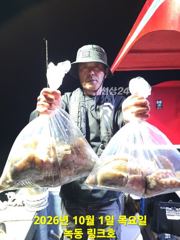 10/1일 야간 문어 조황입니다