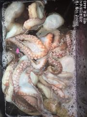~~*1일돌문어 마리수 제법올라옵니다~(예약가능)*~~
