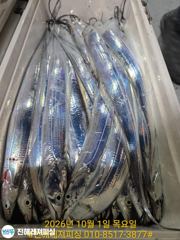 장천항 레져피싱 갈치 조황 사진