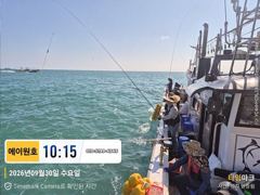 [부산] 42센티 감성돔에 덩치급 돌돔까지 마리수 조황입니다