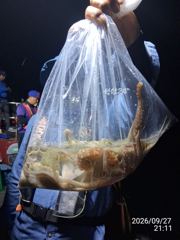 대물 돌문어사냥 고고고! 예약가능!