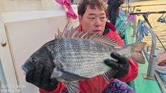 1  《어초여밭 감성돔흘림 실시간》48.43.41외 뺀.참 진행중 1