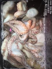 [진해] ~~*돌문어 마리수로 손맛 굿~~(일요일예약가능)*~~