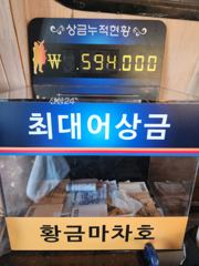 무늬오징어 임원항 황금마차호
