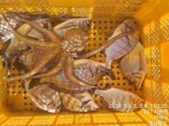 [거제] 가조도 청곡연합레저 선외기 땐마조황