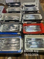 2일새벽 내만용가리 계속 이어 갑니다~!! 예약가능