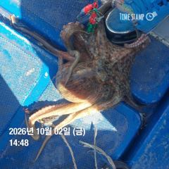 포항.종방) 제2대일호 10월 2일 조황