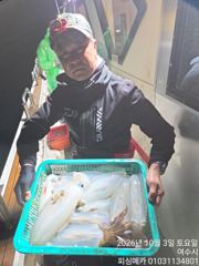 2일 거문도 무늬 오징어 조황입니다