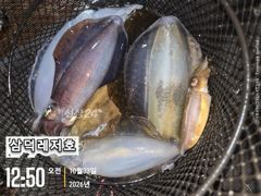 [팁런] 좌사리,씨알,"굿" (일요일 출항)
