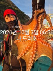 3일, 싸이즈 좋은 문어가 판치는 군산 잘나오고 있어요~실시간~군산낚시프라자 나드리호