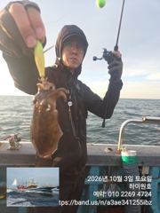 3일, 군산은 갑오징어 천국~나오고 있어요~실시간~군산낚시프라자 하이원호