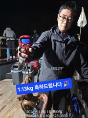 문어] 일요일 오후출항(오후3시~밤12시) 예약가능~ 일욜도 고고!!~