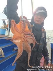 [군산아시아호] 문어 실시간 10/3
