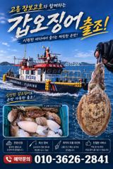 녹동가을돌문어 쏟아집니다 ~