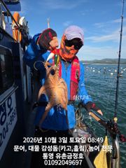[통영] 통영 금정호 바람통에도 문어들이 격하게 반깁니다 월요일종일낚시 …