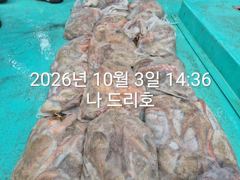 3일, 군산은 지금 ~싸이즈 확실한 덩치급 문어가~ 망탱이 굿굿조황~군산낚시프라자 나드리호