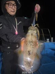 카이로호 갑오징어 조황 사진