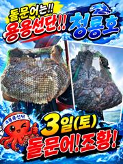 <고흥녹동>청룡호 3일 돌문어 대박조황 소식!!