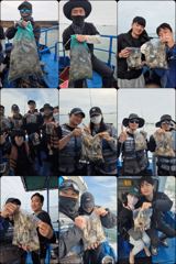 먹물 글만 보기