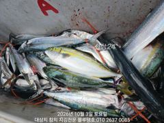 3일 토욜, 대삼치 캐스팅 전체 평가!