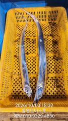 퍽 퍽 3지 4지 나와요
