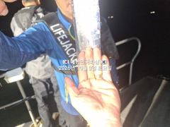 내만갈치~3지급~3.5지급 퍼담퍼담~잡고 또 잡고~예약가능