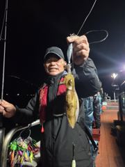 동경호 무늬 k k급~~~~~