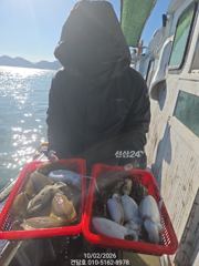 (건담호)2일 갑오징어 베리나이스 ^^ 담주 자리여유