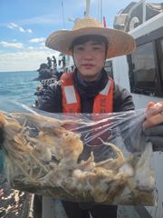 신월항 은하수호 주꾸미 조황 사진