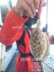 4일 오전 실시간