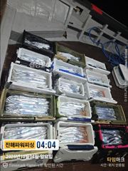 [진해] 먼바다[갈치/텐빈]4일입항 쿨러조황~3지4지급까지[수.목.일]예…