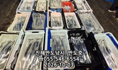 4일,내만갈치,커진 씨알로 쿨러 빵빵하게,내일출항(월,화,수~예약가능)