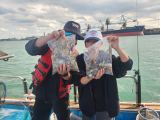 10/4 주꾸미 조황입니다.
