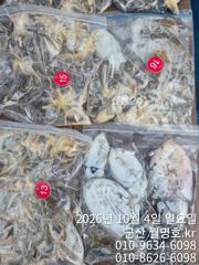 [군산] 4일 오전 쭈꾸미 조황
