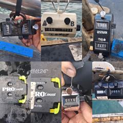 10월4일 고트호 조황