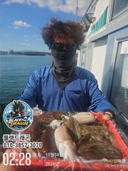 삼천포항 블랙드래곤호 갑오징어 조황 사진