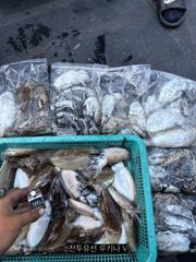 < 팀 인천 루키나 >> 10. 04. 무시 << 루키나V 갑오징어+주꾸미 조황 >>