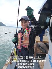 통영 금정호 오후문어 키로급문어들이 쩍쩍붙어줍니다 월요일 자리여유 있습니다