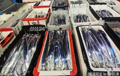 행암항 뉴스피드호 갈치 조황 사진