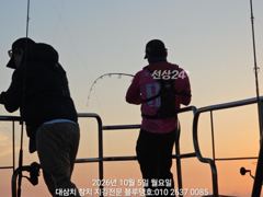 5일 월욜 연휴 아침, 고시삼치 방어 풍년! (아침 1시간 현재…