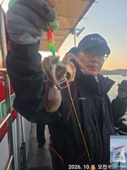 팔포항 스마트호 주꾸미 조황 사진